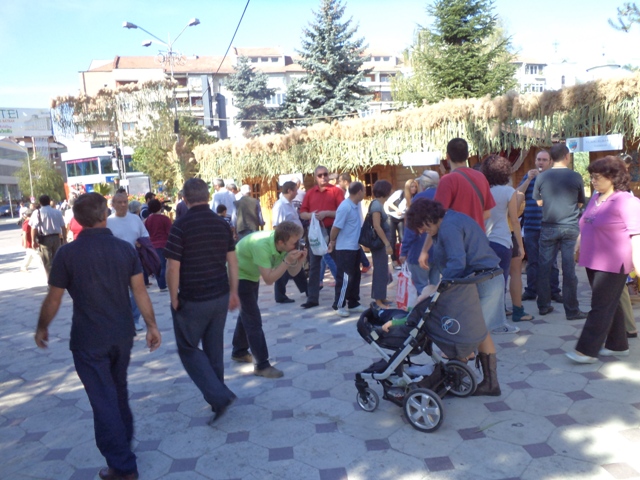 DSC01339_a